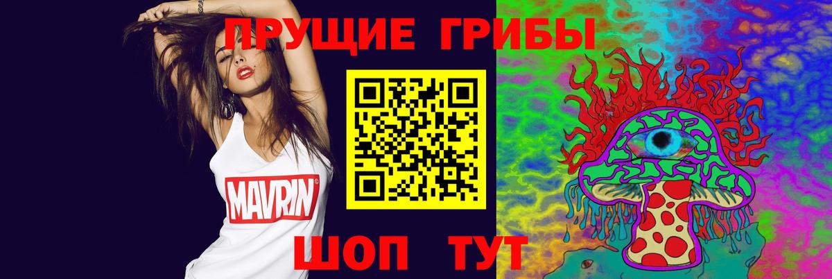 Галлюциногенные грибы Psilocybine cubensis Губкин
