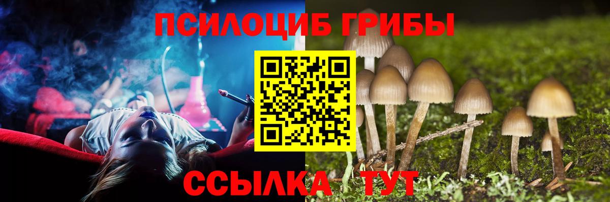 Псилоцибиновые грибы ЛСД  Галлюциногенные грибы Cubensis  Губкин  сколько стоит  Вход с VPN 